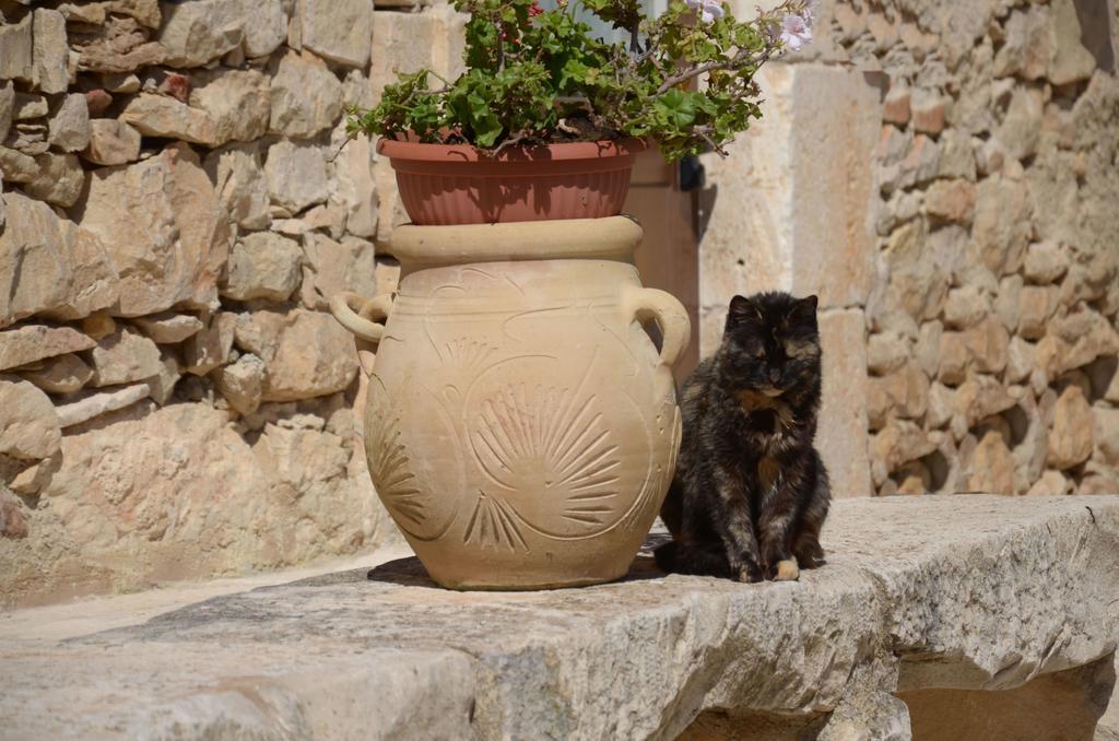 Casina Di Grotta Di Ferro Guest House Santa Croce Camerina Exterior photo